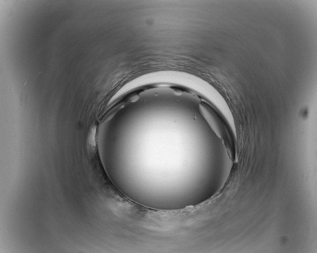 X0000099510041200805221432