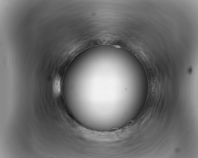 X0000099510042200805221432