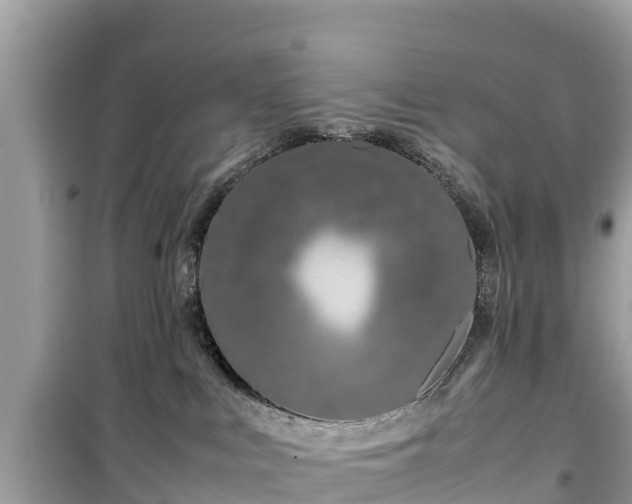 X0000099510043200805221432