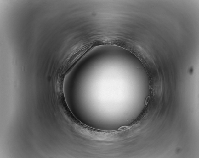 X0000099510044200805221432