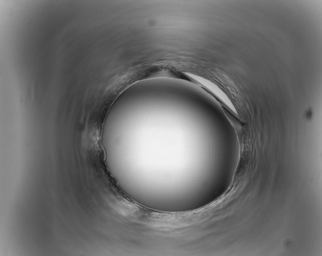 X0000099510045200805221432