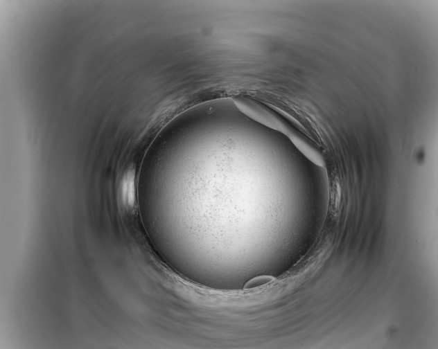 X0000099510046200805221432