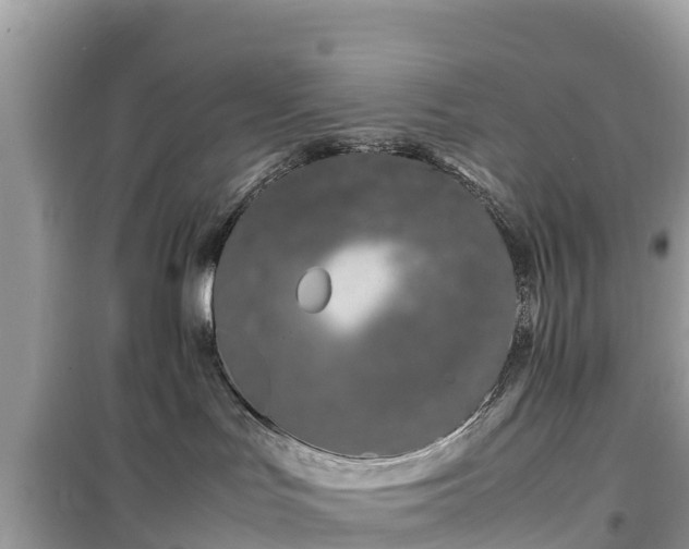 X0000099510047200805221432