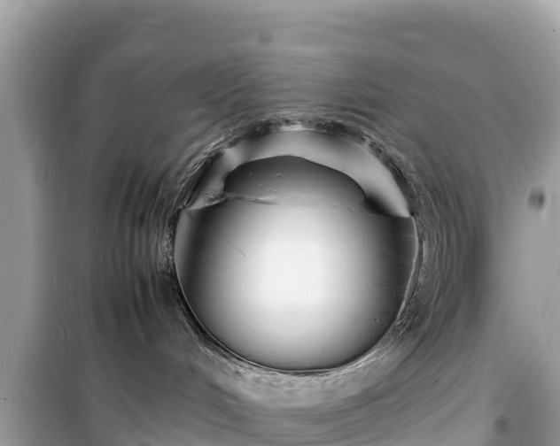 X0000099510048200805221432