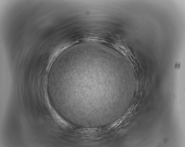 X0000099510049200805221431