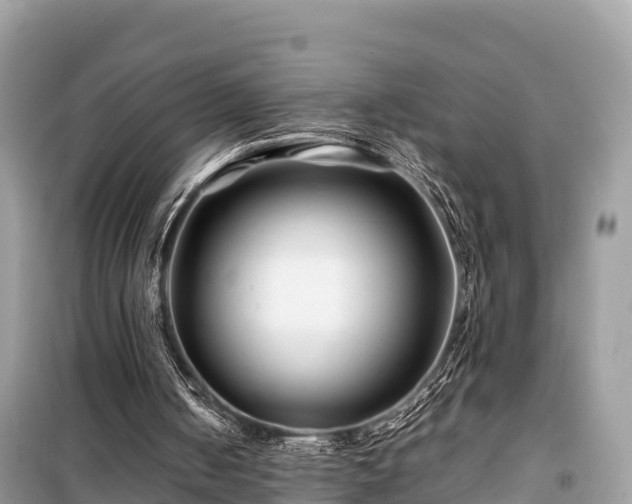 X0000099510050200805221431