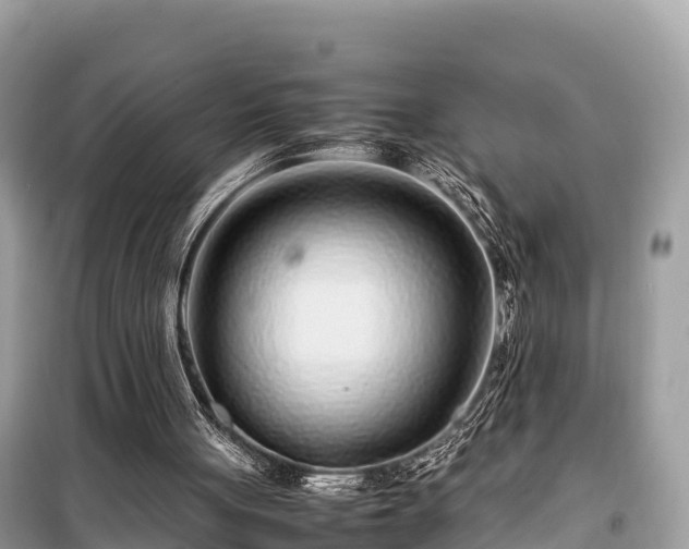 X0000099510051200805221431