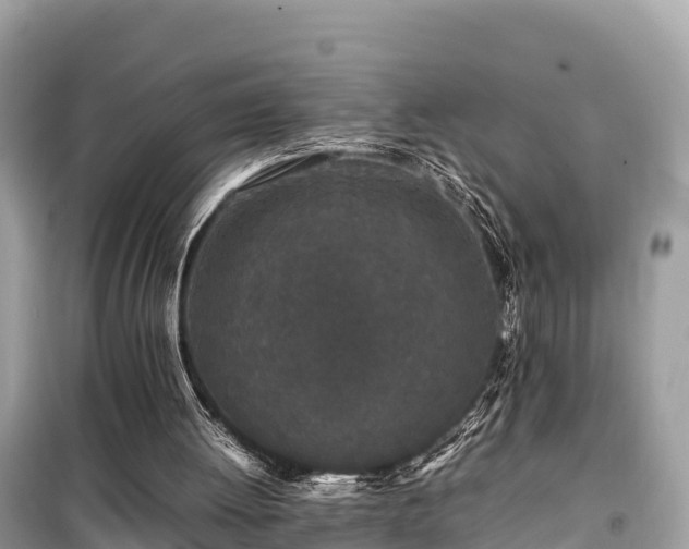 X0000099510052200805221431
