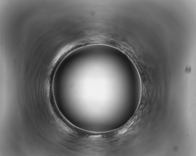 X0000099510054200805221431
