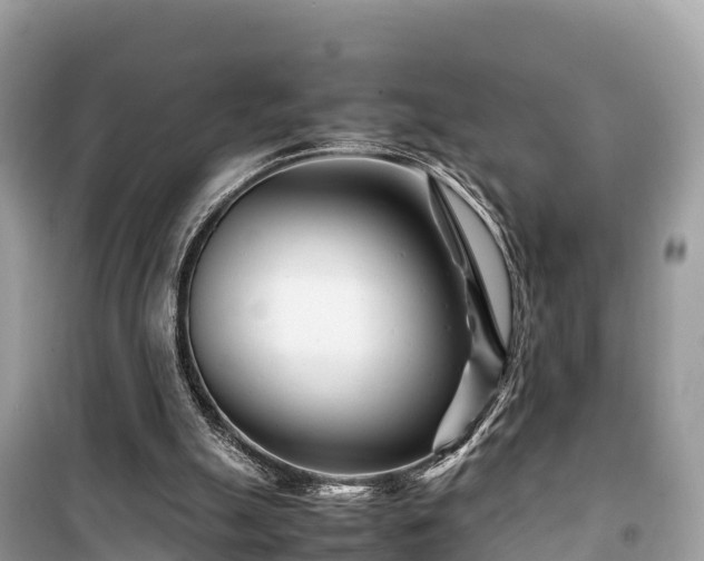 X0000099510055200805221431