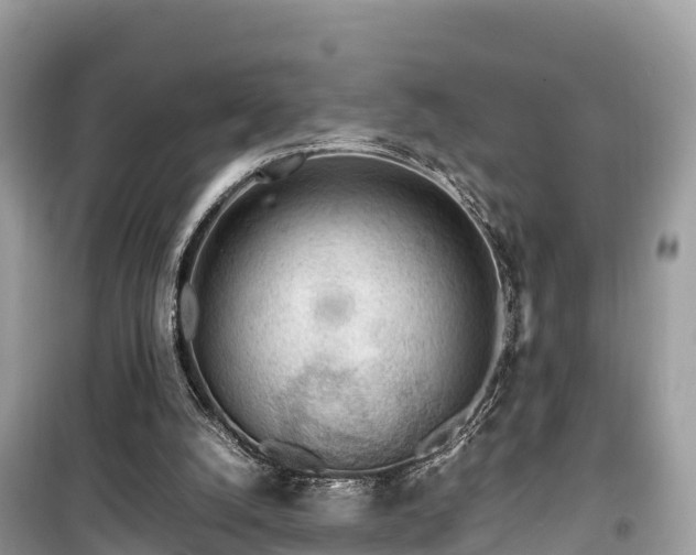 X0000099510056200805221431