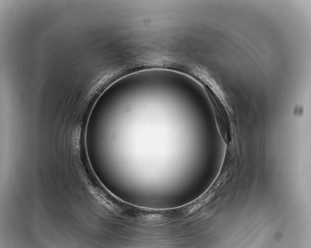 X0000099510058200805221431