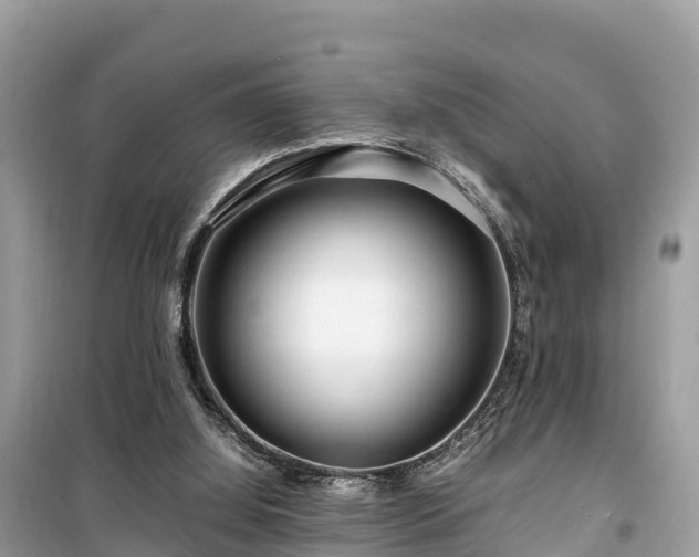 X0000099510060200805221431