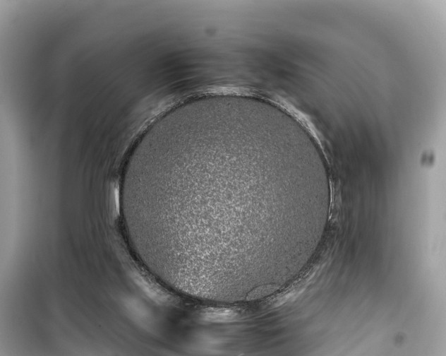 X0000099510061200805221431
