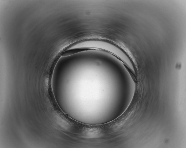 X0000099510063200805221431