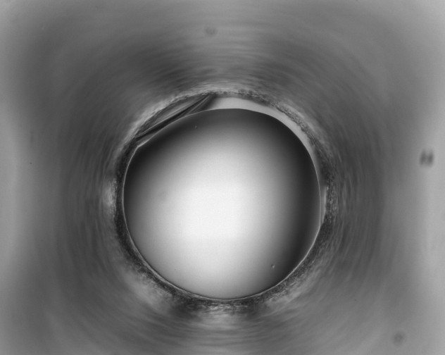 X0000099510064200805221431