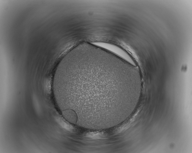 X0000099510065200805221431
