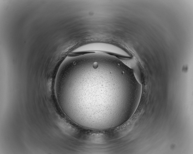 X0000099510066200805221431