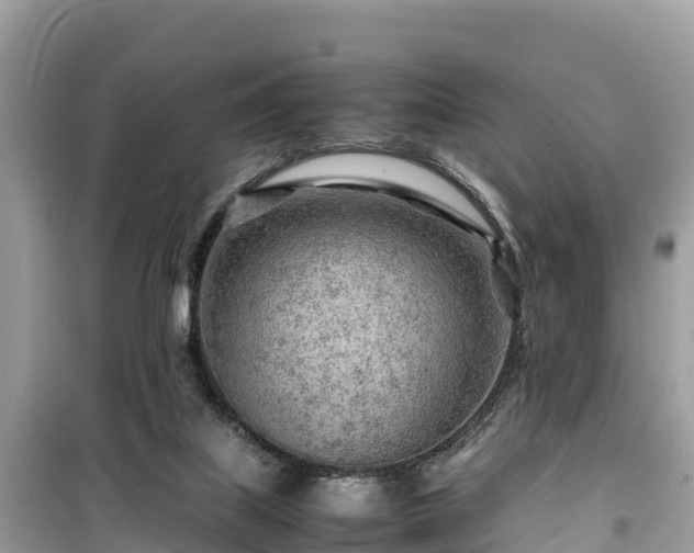 X0000099510067200805221431