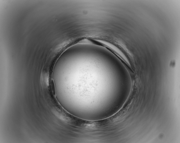 X0000099510068200805221431