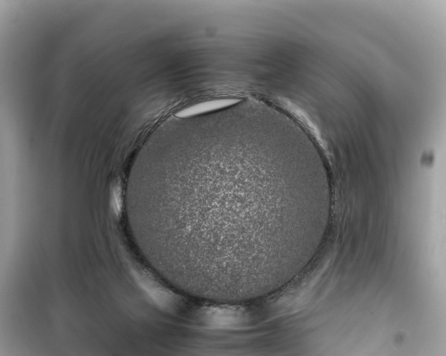 X0000099510069200805221431