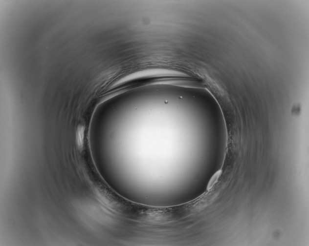 X0000099510070200805221431