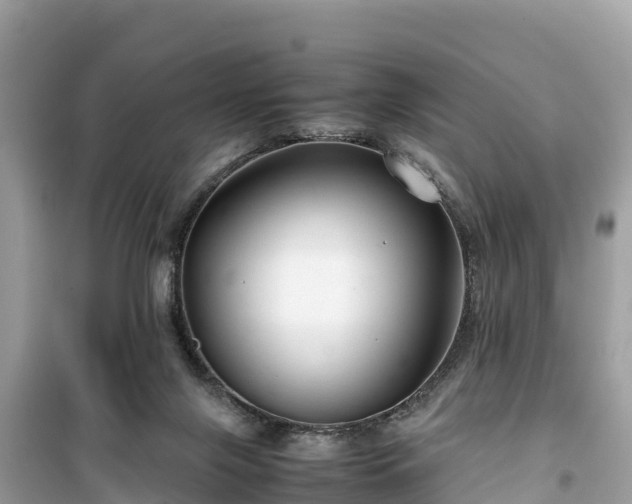 X0000099510071200805221431