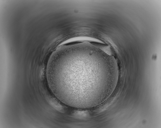 X0000099510073200805221431