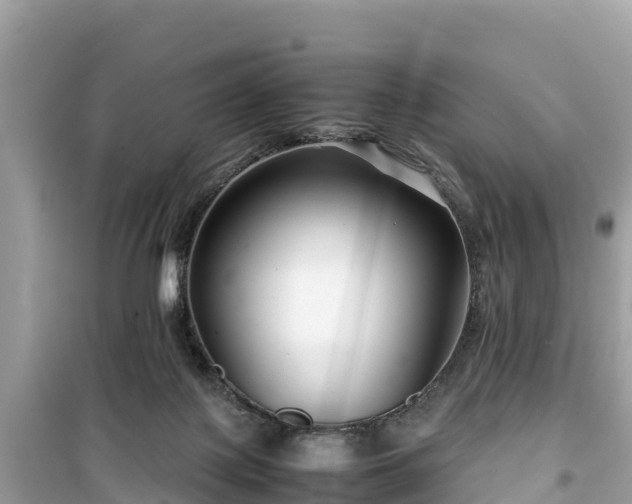 X0000099510075200805221431
