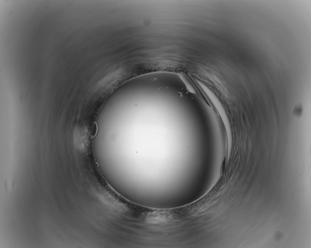 X0000099510077200805221431