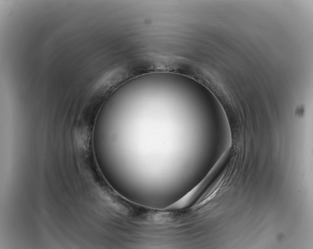 X0000099510078200805221431