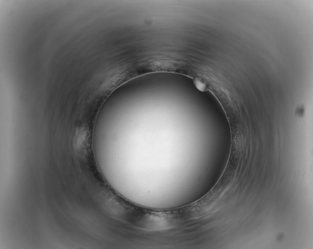 X0000099510079200805221431