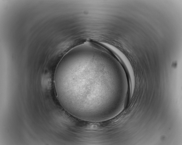 X0000099510080200805221431