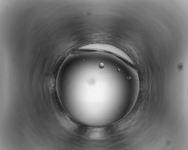 X0000099510081200805221431
