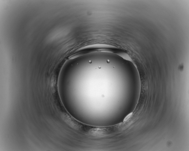 X0000099510082200805221431
