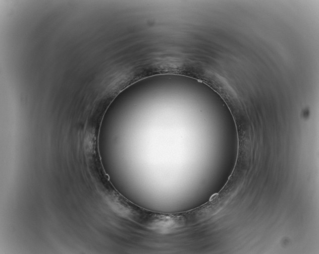 X0000099510083200805221431