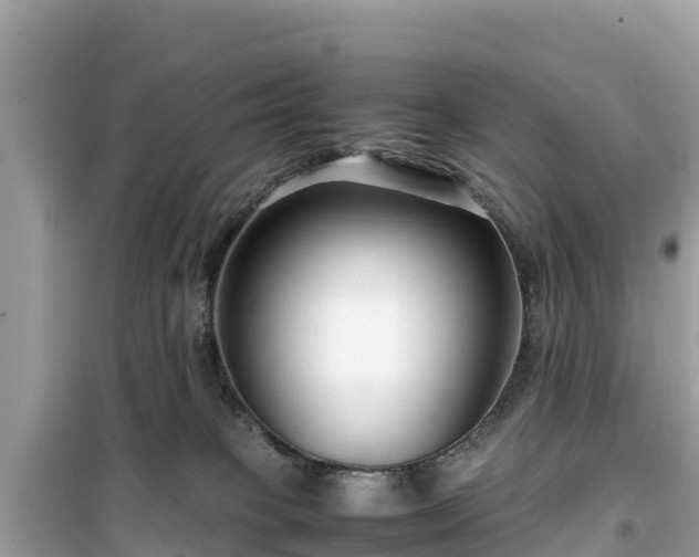 X0000099510085200805221431
