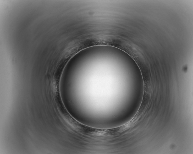 X0000099510086200805221431
