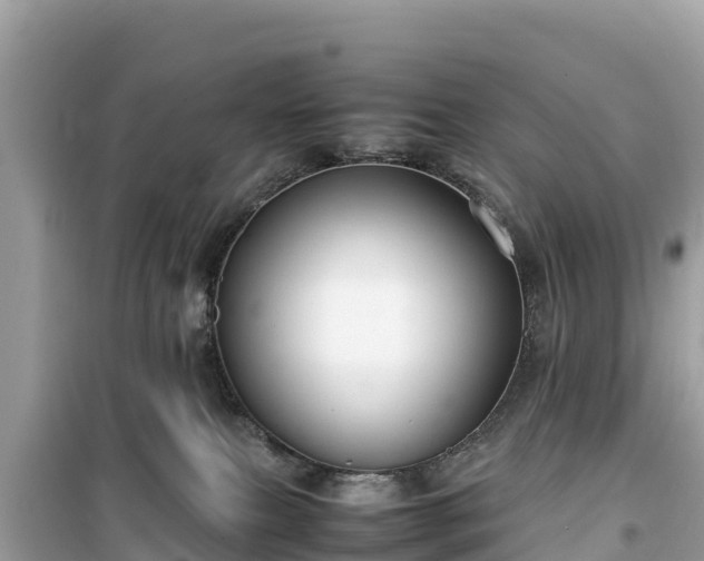 X0000099510087200805221431