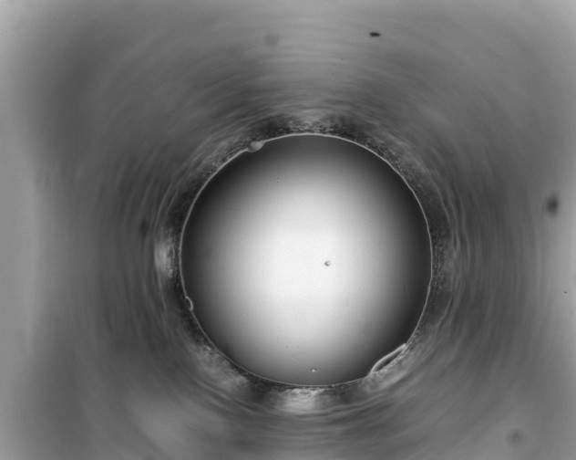 X0000099510090200805221431