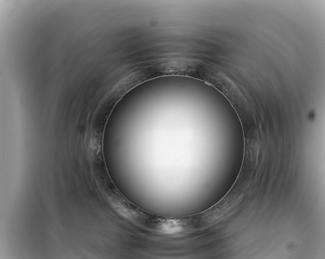 X0000099510091200805221431