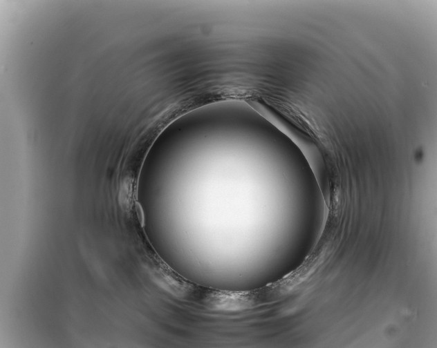 X0000099510093200805221432