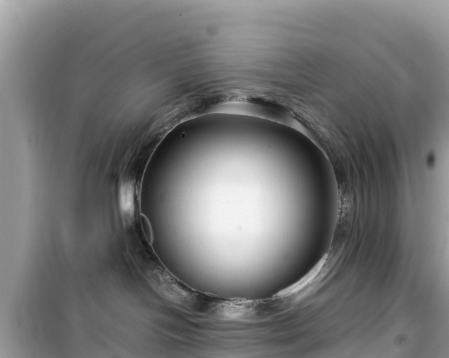 X0000099510094200805221432