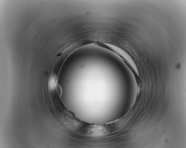 X0000099510095200805221432