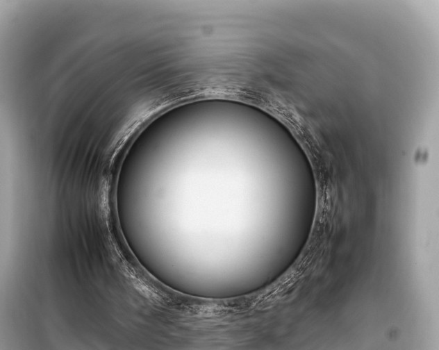 X0000099510098200805221431