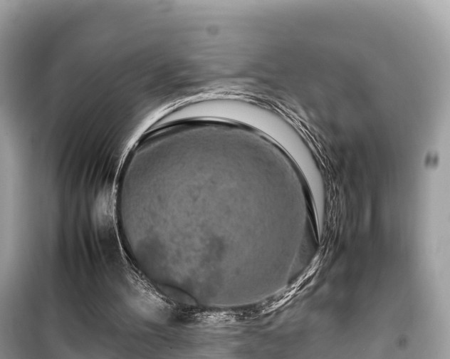 X0000099510100200805221431
