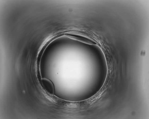 X0000099510102200805221431
