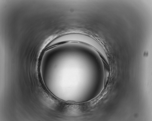 X0000099510104200805221431