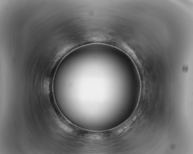X0000099510106200805221431