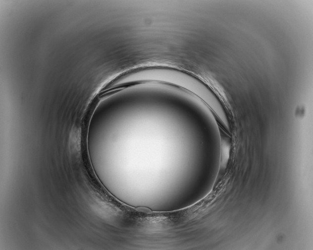 X0000099510108200805221431
